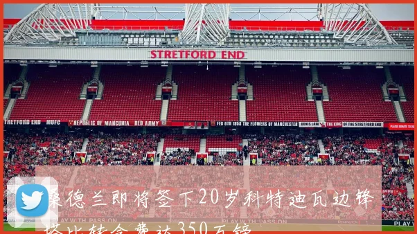 桑德兰即将签下20岁科特迪瓦边锋塔比转会费达350万镑